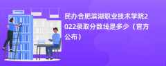 民办合肥滨湖职业技术学院2022录取分数线是多少（官方公布）