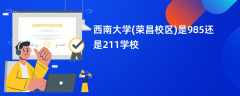 西南大学(荣昌校区)是985还是211学校