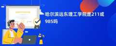 哈尔滨远东理工学院是211或985吗