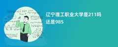 辽宁理工职业大学是211吗还是985