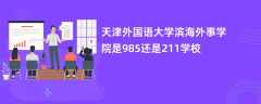 天津外国语大学滨海外事学院是985还是211学校