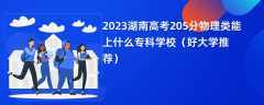 2023湖南高考205分物理类能上什么专科学校（好大学推荐）