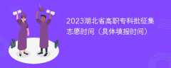 2023湖北省高职专科批征集志愿时间（具体填报时间）