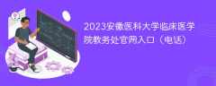 2023安徽医科大学临床医学院教务处官网入口（电话）