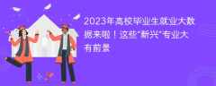 2023年高校毕业生就业大数据来啦！这些“新兴”专业大有前景