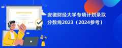 安徽财经大学专项计划录取分数线2023（2024参考）