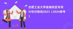 合肥工业大学宣城校区专项计划分数线2023（2024参考）