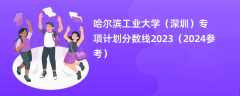 哈尔滨工业大学（深圳）专项计划分数线2023（2024参考）