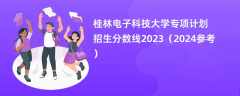 桂林电子科技大学专项计划招生分数线2023（2024参考）