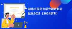 湖北中医药大学专项计划分数线2023（2024参考）