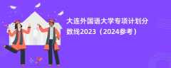 大连外国语大学专项计划分数线2023（2024参考）