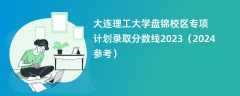 大连理工大学盘锦校区专项计划录取分数线2023（2024参考）