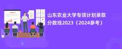 山东农业大学专项计划录取分数线2023（2024参考）