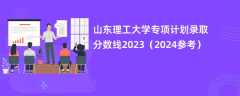 山东理工大学专项计划录取分数线2023（2024参考）