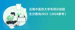 云南中医药大学专项计划招生分数线2023（2024参考）