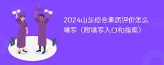 2024山东综合素质评价怎么填写（附填写入口和指南）