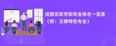 成都东软学院专业排名一览表2024（附：王牌特色专业）