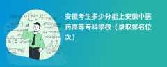 2024安徽考生多少分能上安徽中医药高等专科学校（录取排名位次）