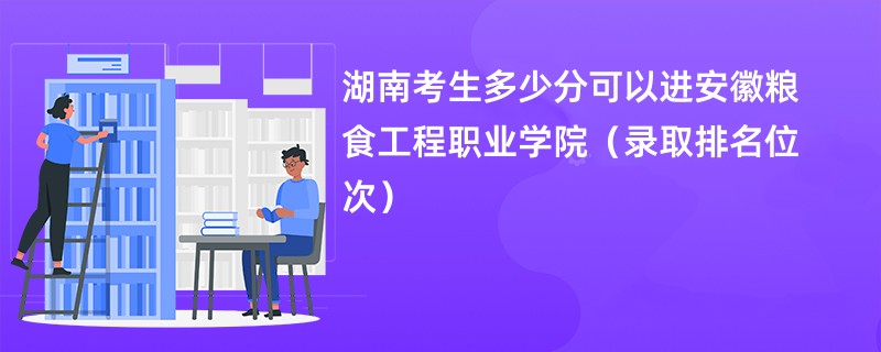 2024湖南考生多少分可以进安徽粮食工程职业学院（录取排名位次）