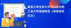 2024黑龙江考生多少分可以进合肥工业大学宣城校区（录取排名位次）