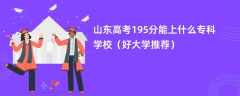 2024山东高考195分能上什么专科学校（好大学推荐）