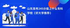 2024山东高考245分能上什么专科学校（好大学推荐）