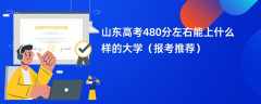 2024山东高考480分左右能上什么样的大学（报考推荐）