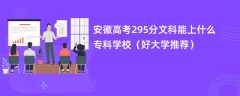 2024安徽高考295分文科能上什么专科学校（好大学推荐）