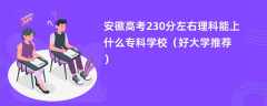 2024安徽高考230分左右理科能上什么专科学校（好大学推荐）