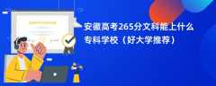 2024安徽高考265分文科能上什么专科学校（好大学推荐）