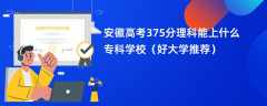 2024安徽高考375分理科能上什么专科学校（好大学推荐）