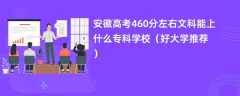 2024安徽高考460分左右文科能上什么专科学校（好大学推荐）