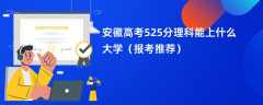 2024安徽高考525分理科能上什么大学（报考推荐）