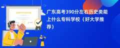 2024广东高考390分左右历史类能上什么专科学校（好大学推荐）