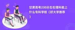 2024甘肃高考230分左右理科能上什么专科学校（好大学推荐）