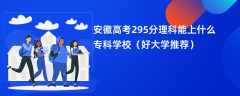 2024安徽高考295分理科能上什么专科学校（好大学推荐）