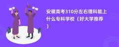 2024安徽高考310分左右理科能上什么专科学校（好大学推荐）