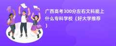 2024广西高考300分左右文科能上什么专科学校（好大学推荐）