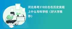 2024河北高考310分左右历史类能上什么专科学校（好大学推荐）