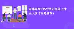 2024湖北高考595分历史类能上什么大学（报考推荐）