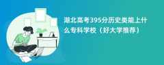 2024湖北高考395分历史类能上什么专科学校（好大学推荐）