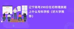 2024辽宁高考290分左右物理类能上什么专科学校（好大学推荐）