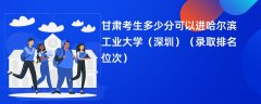 2024甘肃考生多少分可以进哈尔滨工业大学(深圳)(录取排名位次)