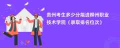 2024贵州考生多少分能进柳州职业技术学院（录取排名位次）
