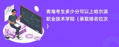 2024青海考生多少分可以上哈尔滨职业技术学院(录取排名位次)