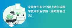 2024安徽考生多少分能上哈尔滨科学技术职业学院（录取排名位次）