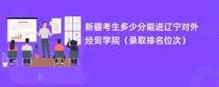 2024新疆考生多少分能进辽宁对外经贸学院（录取排名位次）