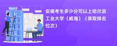 2024安徽考生多少分可以上哈尔滨工业大学（威海）（录取排名位次）