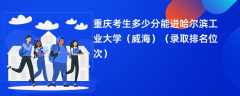 2024重庆考生多少分能进哈尔滨工业大学（威海）（录取排名位次）