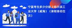 2024宁夏考生多少分能上哈尔滨工业大学（威海）（录取排名位次）